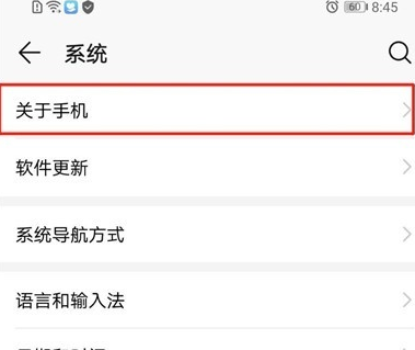 荣耀20i中将开发者选项打开具体操作步骤