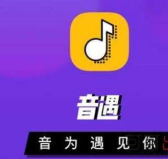 音遇app设置动态头像具体操作步骤