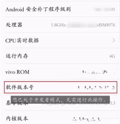 vivoy91中将开发者选项打开具体操作步骤