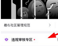 最右APP升治理员具体操作步骤