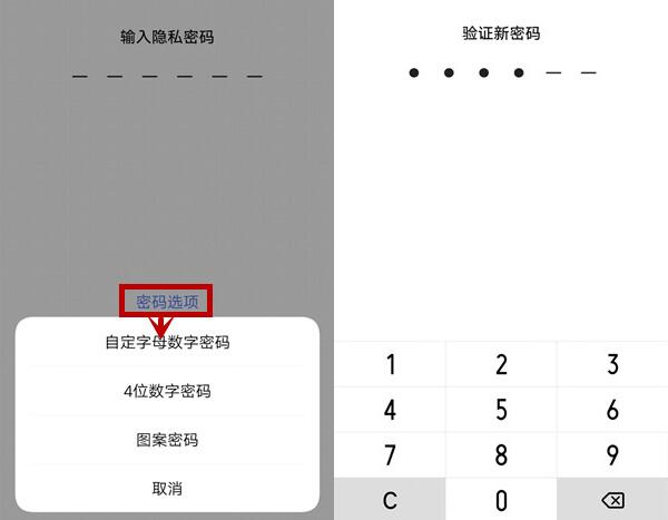 vivox27中将应用加密具体操作步骤