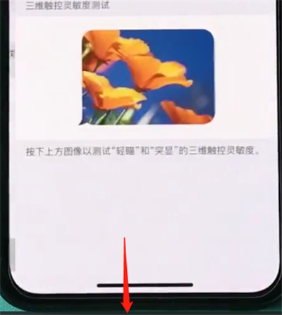 iPhoneXs Max中打开半屏功能具体操作方法