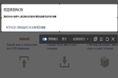 有道词典中实现截屏翻译具体操作步骤
