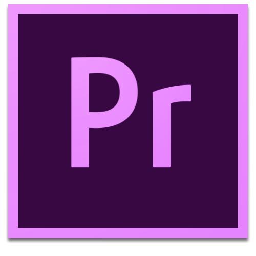使用Adobe Premiere为部分识破打马赛克具体操作方法
