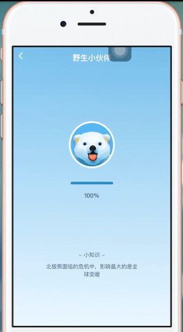 淘宝中野生小伙伴详情介绍