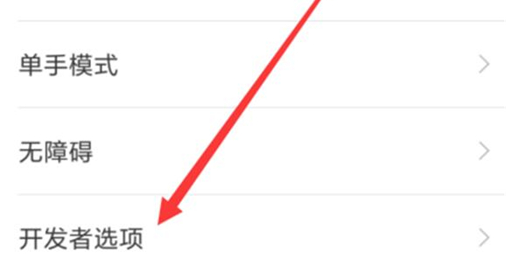 小米play中将开发者选项打开具体步骤介绍