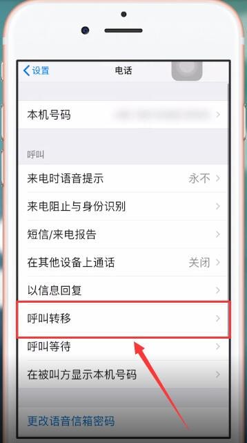 苹果手机出现打不进来电话详细解决方法
