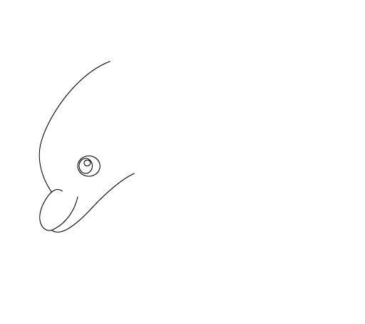 怎么用Adobe Illustrator画出可爱海豚