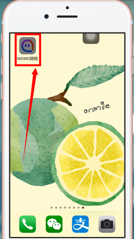 陌陌app中退群具体操作流程