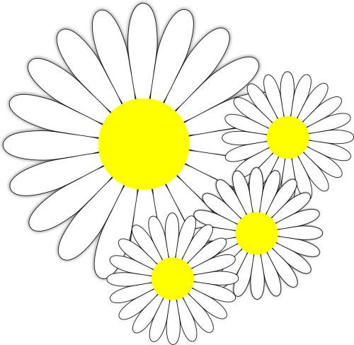 CorelDRAW X6怎么画出小白菊