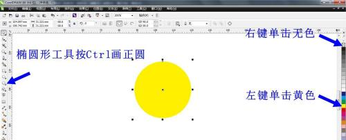CorelDRAW X6怎么画出小白菊