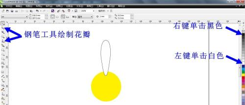 CorelDRAW X6怎么画出小白菊