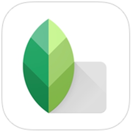 snapseed中调节画面倾斜程度具体操作方法