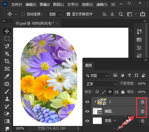 Photoshop怎么锁定图片位置