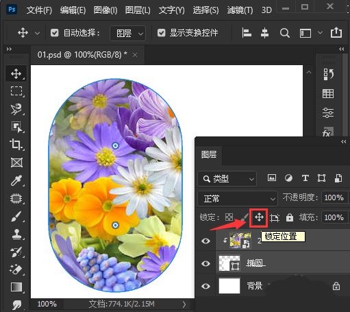 Photoshop怎么锁定图片位置