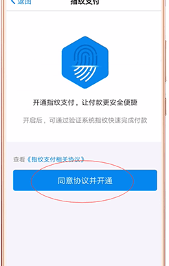 淘宝设置指纹支付图文操作