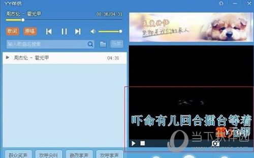 YY伴侣怎么使用 使用方法学成介绍