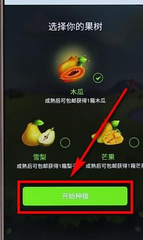 拼多多里多多果园详细玩法讲解