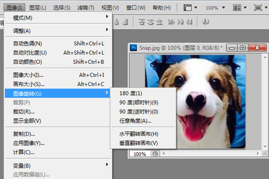 PhotoShop如何旋转图片 简单几步即可