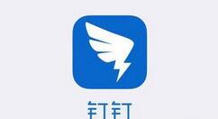 钉钉设置密聊操作流程