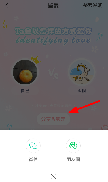 准了app中鉴定爱情详细操作步骤