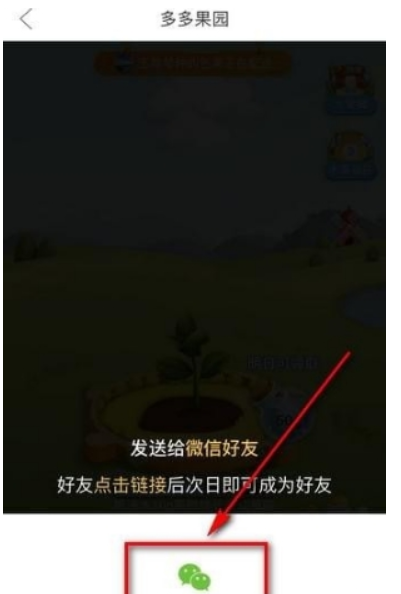 多多果园如何添加好友 添加微信好友教程