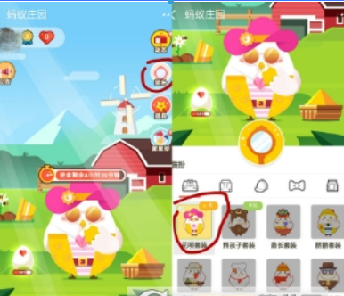 支付宝蚂蚁庄园花呗套装是什么? 蚂蚁庄园花呗套装可以获得红包吗?