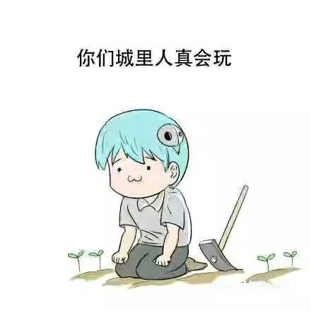 正规的借钱软件有哪些？正规的借钱软件盘点！
