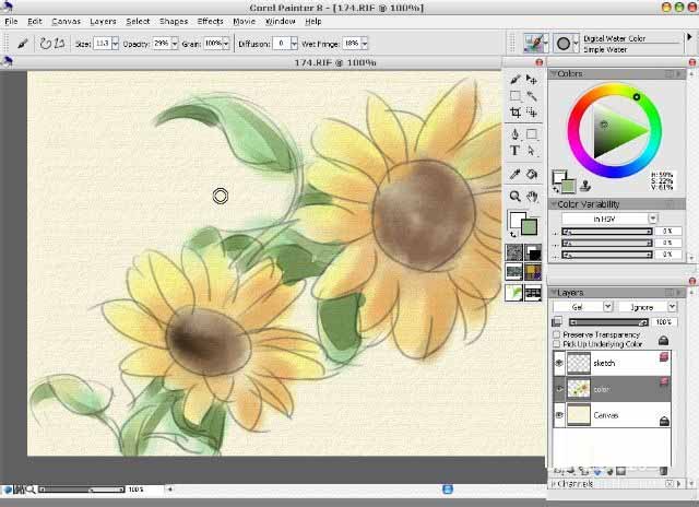 使用painter8绘画出水彩效果向日葵具体操作方法
