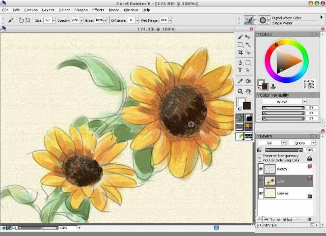 使用painter8绘画出水彩效果向日葵具体操作方法