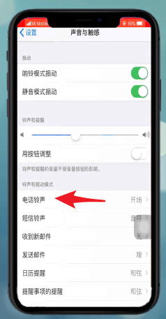 苹果xr设置铃声具体步骤介绍