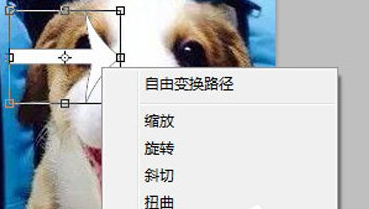 使用Photoshop旋转图片详细操作方法