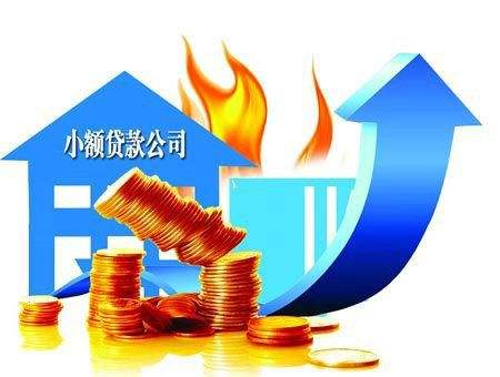小额贷款公司的政策是什么？小额贷款公司的政策盘点！