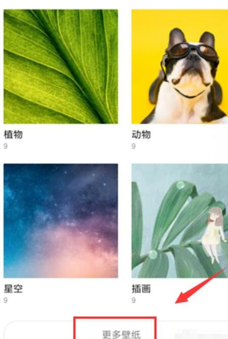 小米play换动态壁纸基础操作