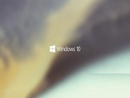 使用win10系统出现初始化网卡信息失败不能上网详细修复步骤