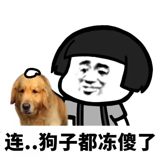 抖音我家床塌了停水了停电了表情包是什么?抖音我家床塌了表情包介绍!