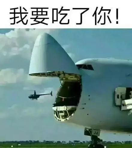 抖音车辆余生请多指教表情包是什么?抖音车辆余生请多指教表情包介绍!
