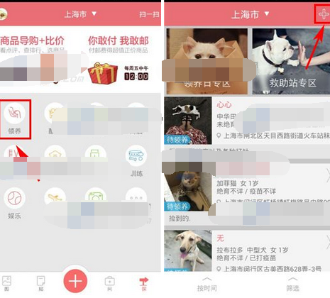 闻闻窝中发领养信息具体操作流程