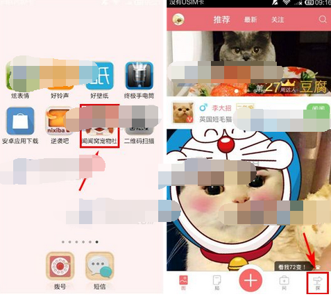闻闻窝中发领养信息具体操作流程