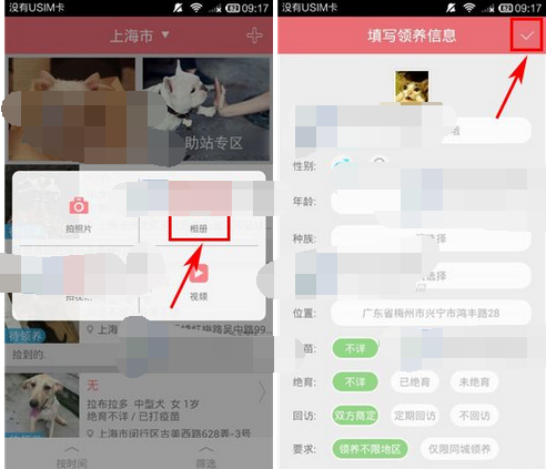 闻闻窝中发领养信息具体操作流程