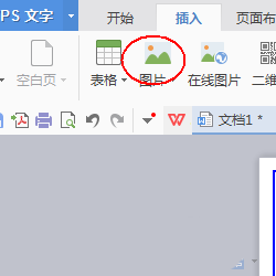 使用wps设计出一款简约派简历具体操作步骤