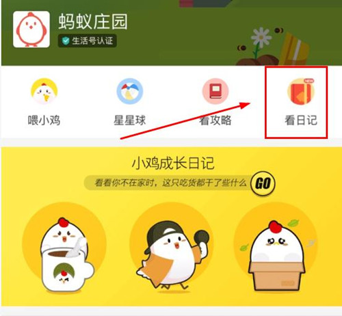 支付宝蚂蚁庄园怎么更改小鸡姓名 更改教程介绍