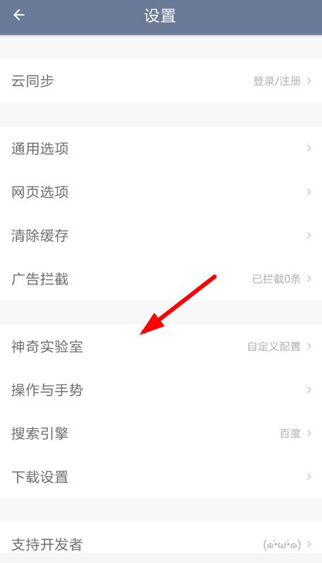 神奇浏览器中将书签导入具体操作方法