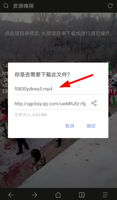 Via浏览器中更改下载后缀详细操作方法