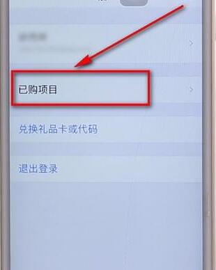 app store查看购买记录操作过程