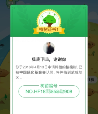 支付宝蚂蚁森林环保证书如何获取 蚂蚁森林环保证书获取教程