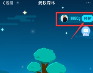 支付宝蚂蚁森林环保证书如何获取 蚂蚁森林环保证书获取教程