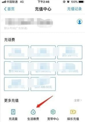 支付宝如何查电费余额 支付宝查电费明细教程