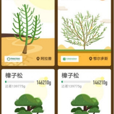 支付宝蚂蚁森林保护地区详解 蚂蚁森林保护地有哪些