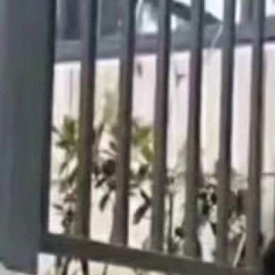 抖音奥特曼穿貂戴墨镜社会步图片介绍 奥特曼穿貂戴墨镜九宫格如何弄
